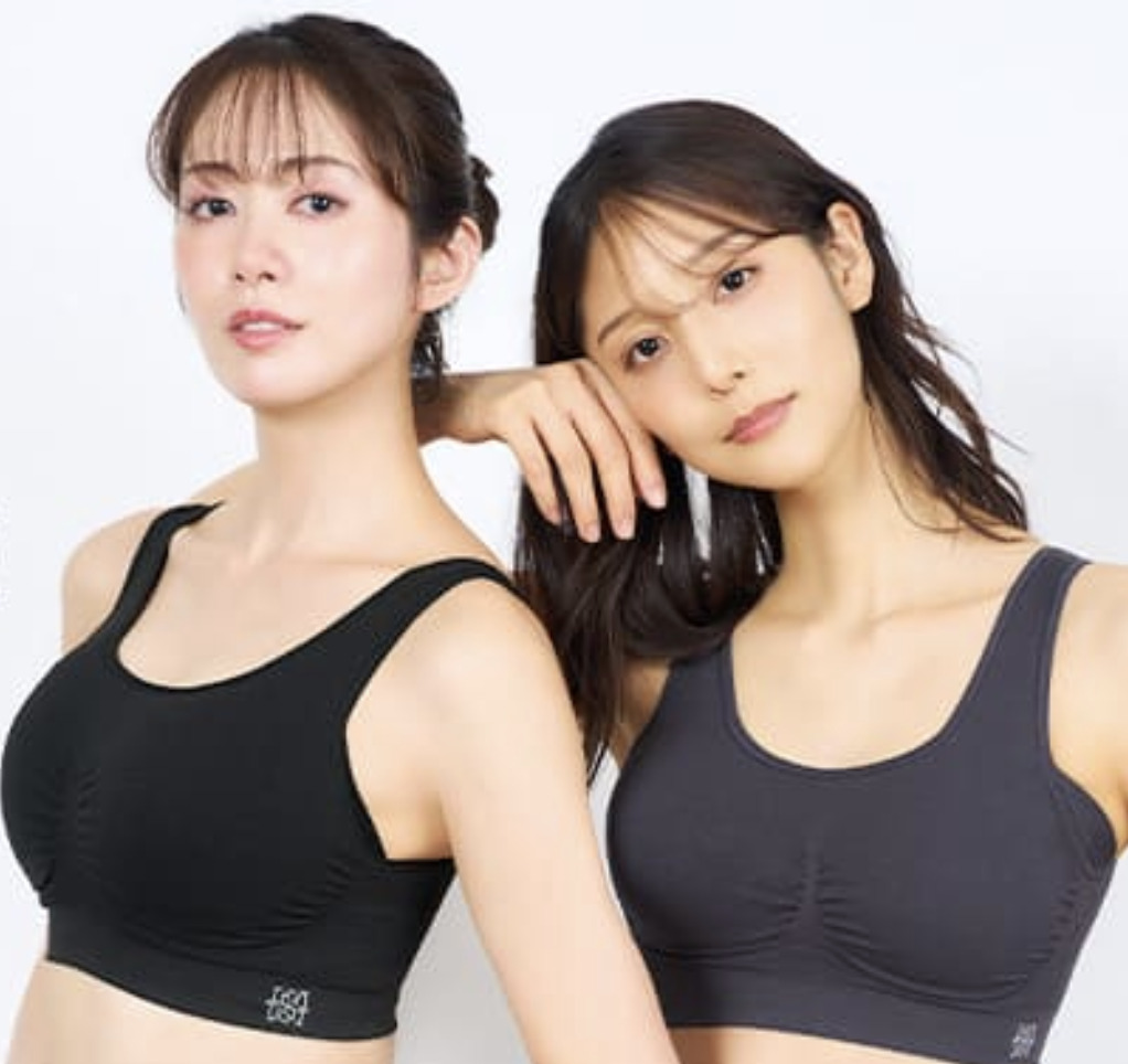 ヴィアージュナイトブラの商品画像